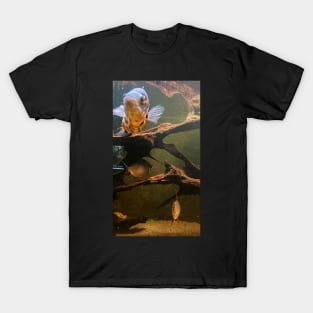 Gold fish in the water T-Shirt